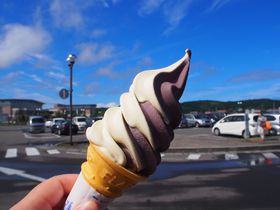 Hcú`Ƃہ`Ƒ ۂۂvŃOO!HJwƒ̓̉w̋LTlC