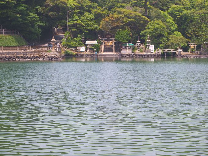 明神池の奥に広がる猫の楽園と厳島神社