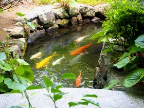 ̒XCXCÍuƉ~vƗ߂̋LTlC