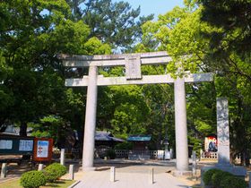 EYɊC̍KIRŝ߃TCNOX|bg4I̋LTlC