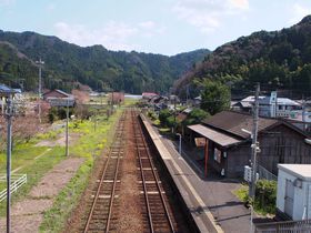 B̃fB[vȃ[JIJRÐœrԂw4I̋LTlC