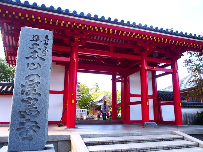 縁結び 福運 子宝を招く狸に会おう 香川高松 屋島寺 へ 香川県 トラベルjp 旅行ガイド