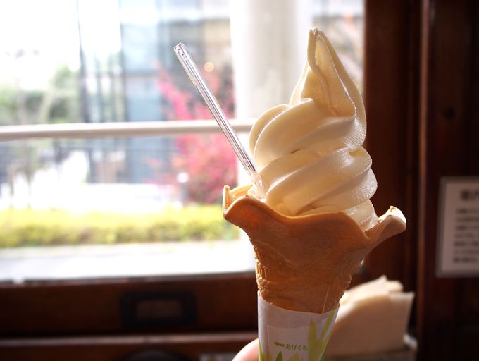 京都美山牛乳ソフトクリームが絶品！夏はかき氷も