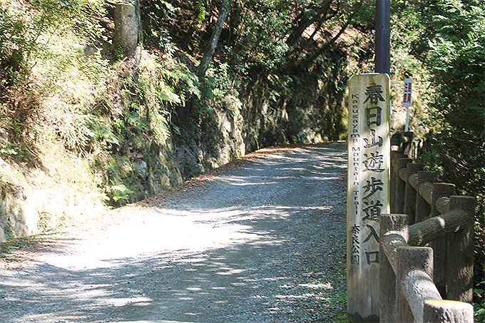 �ޗǂ̎��R�A���̎��R�Ƃ͂ǂ��Ⴄ�́H