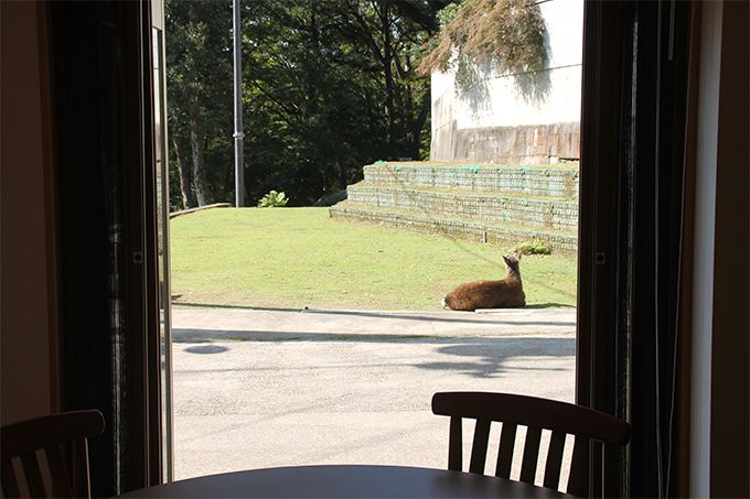 �Ƒ��̖Y����Ȃ��v���o�Â���ɁI�}�E���e���z�[�����b�W�C���f�B�A�[�p�[�N