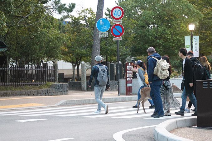 1,200�N�ȏ�A�쐶�̎��Ɛl����������s�s�A�ޗ�