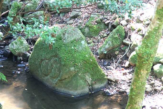 �ޗǂ̎��R�A���̎��R�Ƃ͂ǂ��Ⴄ�́H