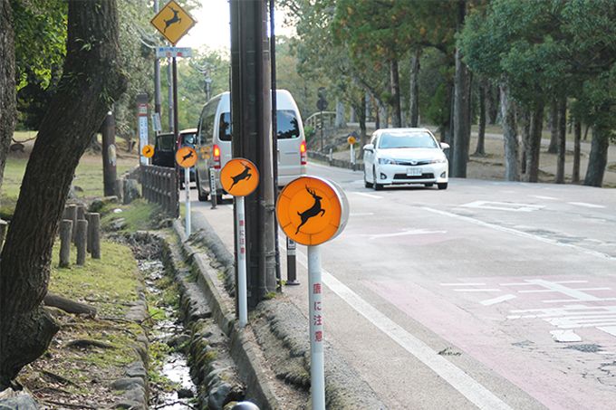 1,200�N�ȏ�A�쐶�̎��Ɛl����������s�s�A�ޗ�