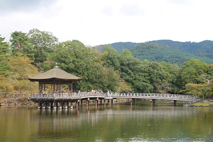 奈良の隠れた休憩スポット 水辺の風情を楽しむ 鷺池の浮見堂 奈良県 Lineトラベルjp 旅行ガイド