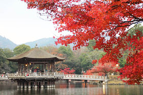 ޗǂ̉BꂽxeX|bgIӂ̕yށur̕v̋LTlC