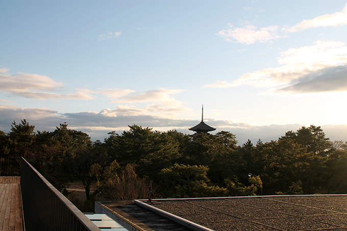 屋上から五重塔と東大寺をのぞむ！屋上庭園