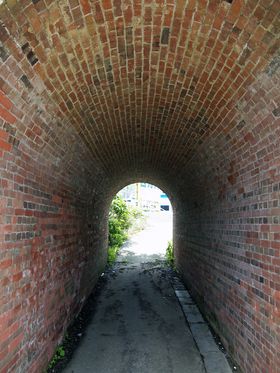 JRې̃KA[`T@|ƃI^Nȗ͂H[̋LTlC