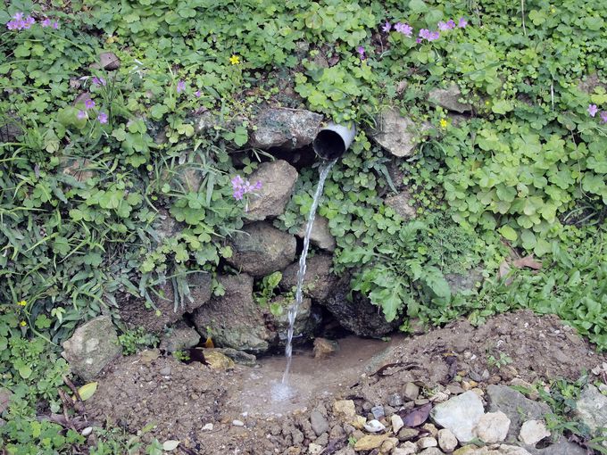 ߑI{݂̕ЋŁuEeB_v͍XƐNo