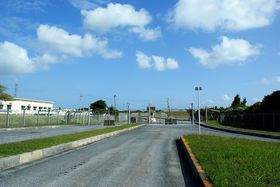 �{�i�I�A�����J�����X�g�������I���{�l���p�\�ȉÎ�[��n���}���[�i�̋L���T���l�C��