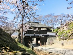 �ŗL��g�������d�g�}���h�͕K���I���̖����E���쌧�u���É��v�̋L���T���l�C��