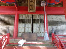 見どころは猫だけじゃない！宮城県・田代島の3つの神社