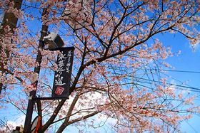 qȂF{uh_ЖOE̓vGOI̋LTlC