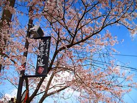 女子旅するなら熊本県「阿蘇神社門前町・水基巡りの道」へGO！