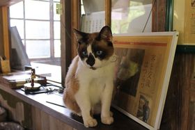 όguʂLɂ񑾘YvɉIz110ÑgȁuJR×wvij̋LTlC