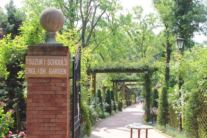 福岡のバラ園 日本経済大学 イングリッシュ ガーデン が超キレイ 福岡県 トラベルjp 旅行ガイド