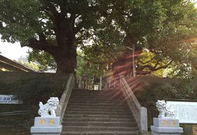 ���R�뎡���̂����u�N�X�m�L�v����R���_�ЁE���̖����p���[�������������̋L���T���l�C��