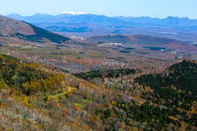 �k�C���E�돟���͍����̂���i���I�ቺ�ɍL����\���̑�p�m���}�̋L���T���l�C��