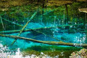 �k�C���E������V�т����I���������߃X�|�b�g10�I�̋L���T���l�C��