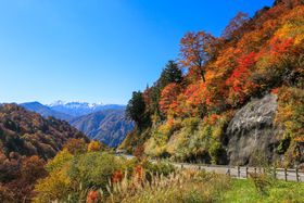 ��i�A�g�t������I���R���싽�z���C�g���[�h�Ő��E��Y���I�̋L���T���l�C��