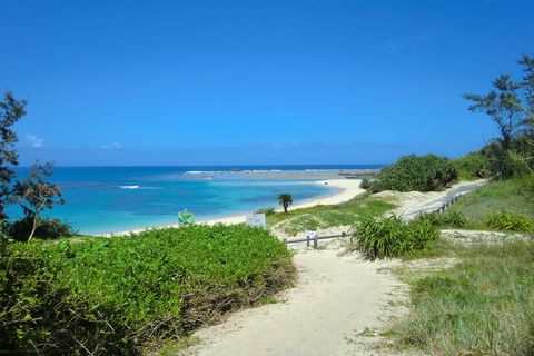 "u[GWF"C݂͕KKI哇œ̃X[Cť