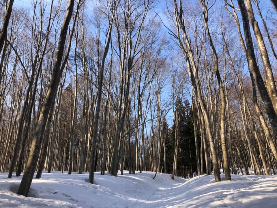 �u���l�сv�ł̎��R�T�K�ƐX�̊w�Z�u�L�������v