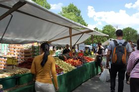 �x�������ٕ����̌����_�u�N���C�c�x���O�̃g���R�s��v�̋L���T���l�C��