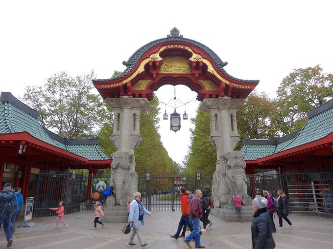 世界で最大数！ドイツ最古、西の「ベルリン動物園」