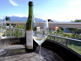 女子旅におすすめ！世界遺産のワイン銘醸地スイス・ヴォー州でリゾート気分