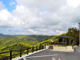 新緑の美しい奄美大島！ドライブで巡る絶景スポット