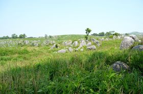 ŖėsIߊόX|bg10I̋LTlC