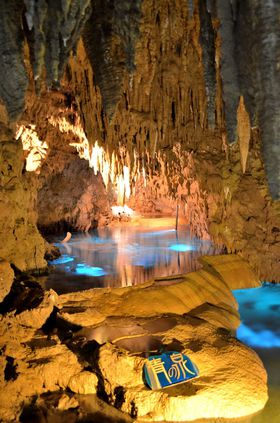 m̑sȌiςɊIEȂ탏[huʐ򓴁v̋LTlC