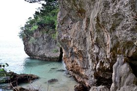 A𔲂Ċ̊CցIΊ_uɌԃTr`v̋LTlC