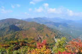 �g�t�̔������O����x��ڎw���ăh���C�u�u���R���싽�z���C�g���[�h�v�̋L���T���l�C��