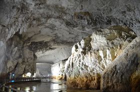 ���m��̑��ԁI�R���u�H�F���v�͈��S�̃o���A�t���[�����̋L���T���l�C��