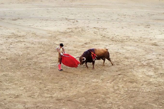 本場スペインで観る気迫の闘牛 マドリード ラス ベンタス闘牛場 スペイン Lineトラベルjp 旅行ガイド