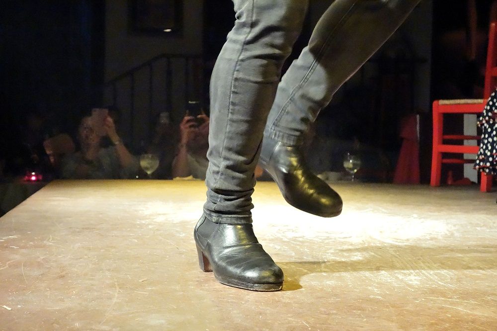 �����̔��́I�ԋ߂Ŋς�t�������R�V���[