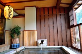 ���̌Ǔ��œ���铒�񓔘I�V���C�I��Áu���قЂ̂��܂��v�̋L���T���l�C��