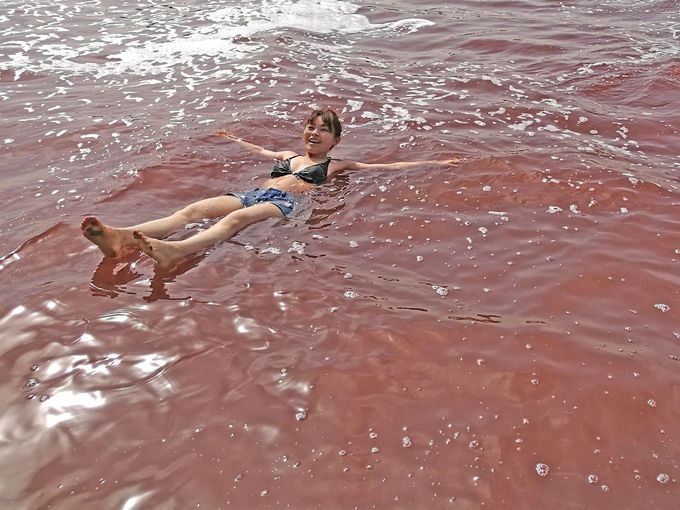 塩分濃度は死海以上 セネガルのバラ色の湖 ラックローズ は浮かんで遊べ セネガル トラベルjp 旅行ガイド
