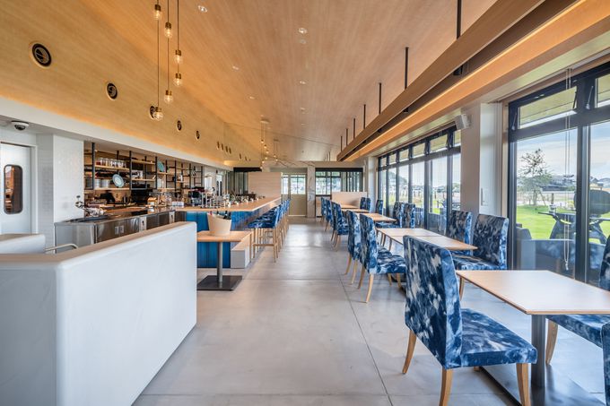 �h���Ҍ���I���˓��̐H�ނ��y���߂��i���[�j���O