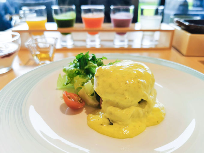 �h���Ҍ���I���˓��̐H�ނ��y���߂��i���[�j���O