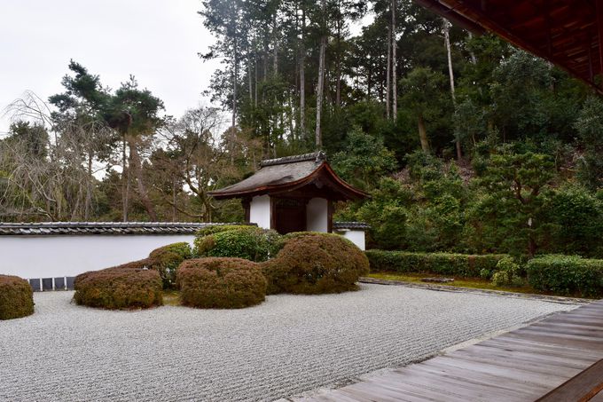 京都で多数目撃 デヴィッド ボウイが本当に訪れた4つの地 京都府 トラベルjp 旅行ガイド