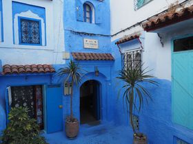 �����b�R�̐��X�V���E�G�������\�ł��郊�A�h�u�J�[�T �y�����[�^�v�̋L���T���l�C��