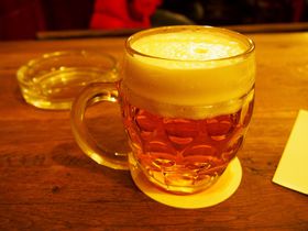 もやしもん登場！プラハ最高峰のビールが飲める名店「黄金の虎」攻略ガイド