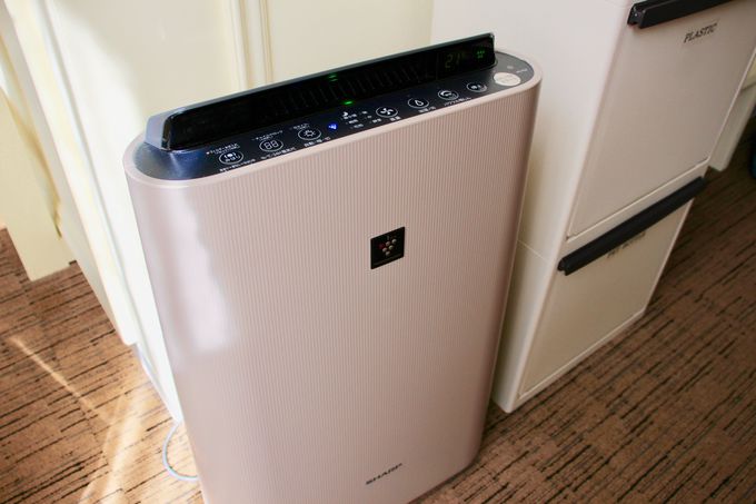 �C�O�̃z�X�e���݂����Ȓj�����p�h�~�g���[�I