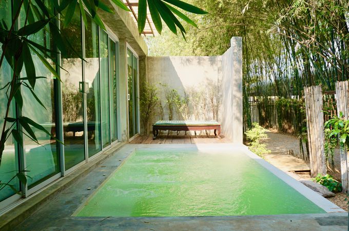 ΖLȒ|тɕ܂ꂽ傫ȃBI